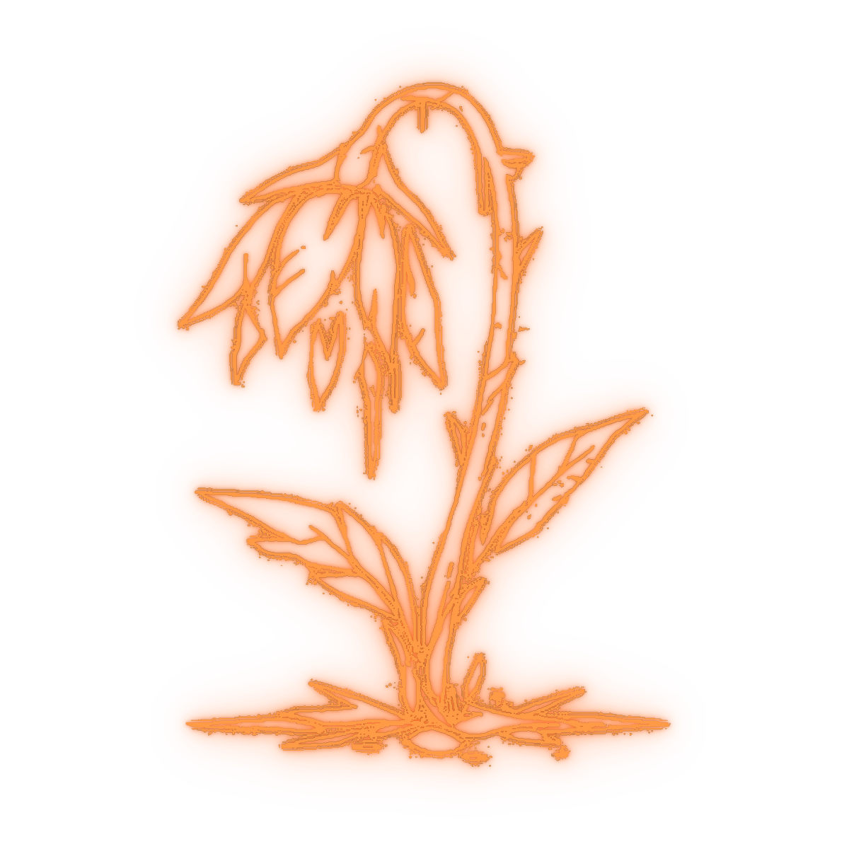 akyiro flower logo
